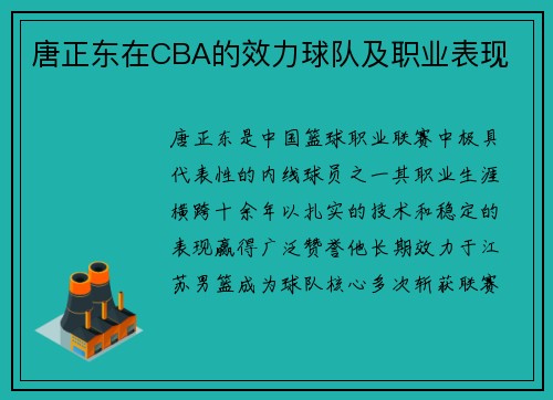 唐正东在CBA的效力球队及职业表现