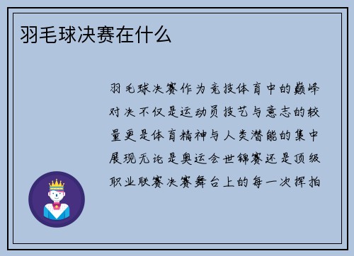 羽毛球决赛在什么